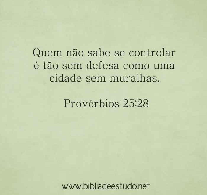 NNN-PROVERBIOS-25-28