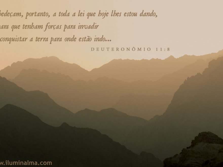 ia_deuteronomio11_8